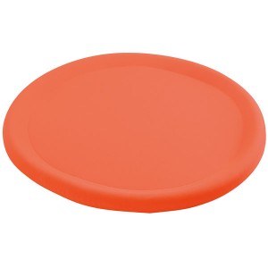 Frisbee G&eacute;ant