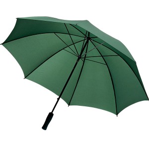 Parapluie de golf temp&ecirc;te 30" - couleur vert - objets publicitaires