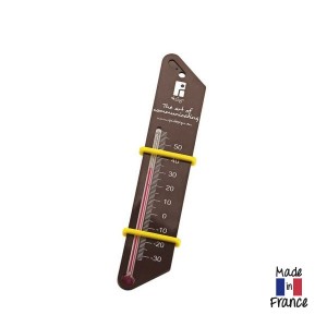 Thermom&egrave;tre transparent